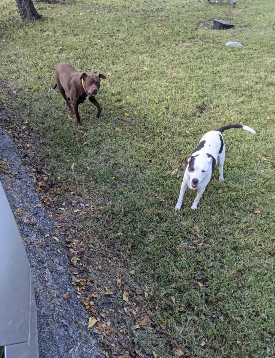 Photo from blog post 178