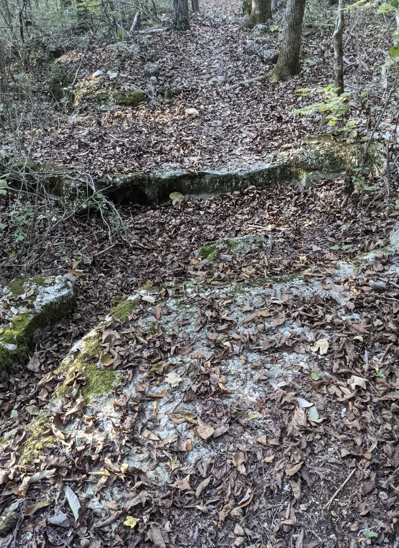 Photo from blog post 178