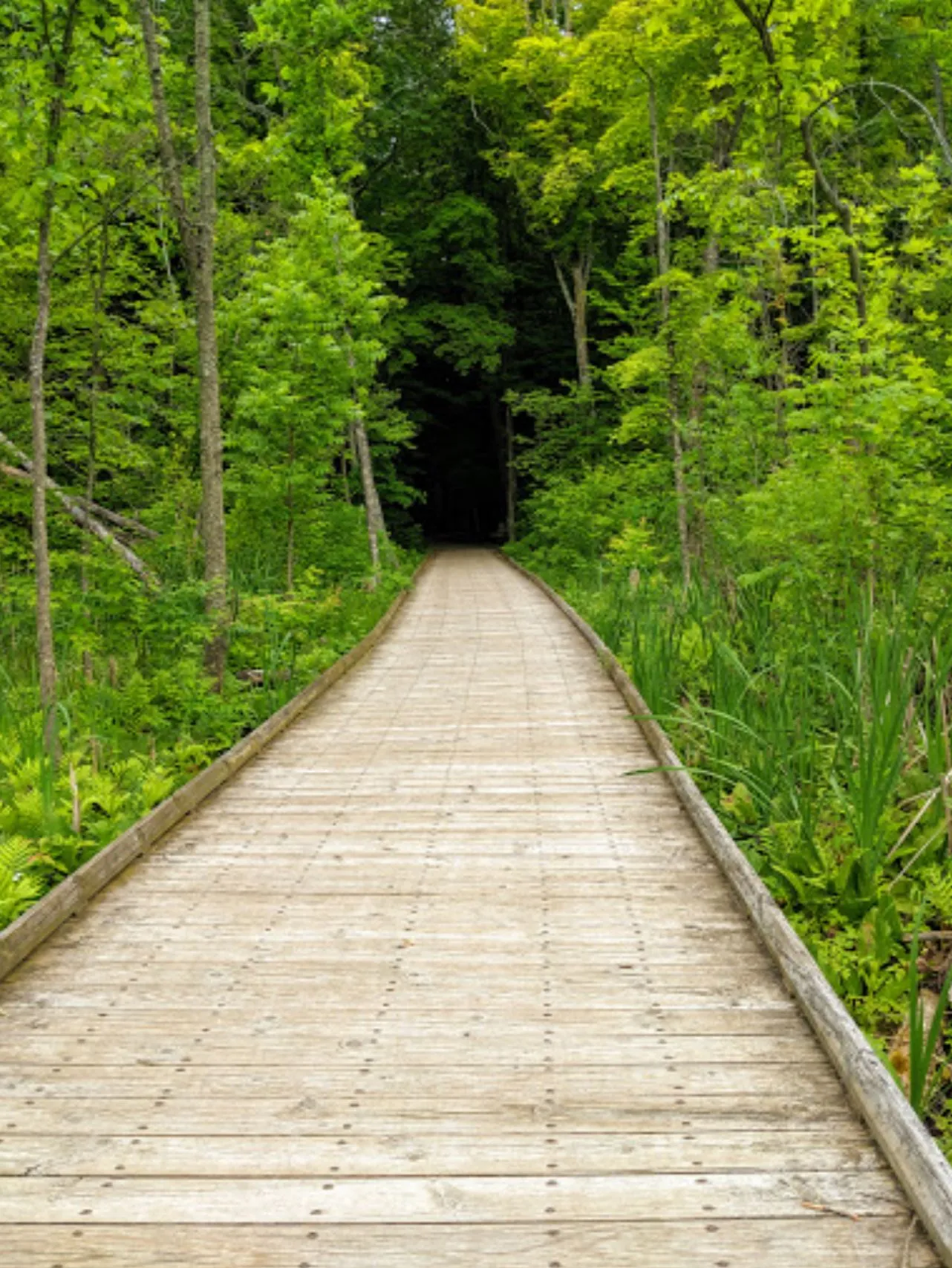 Photo from blog post 179