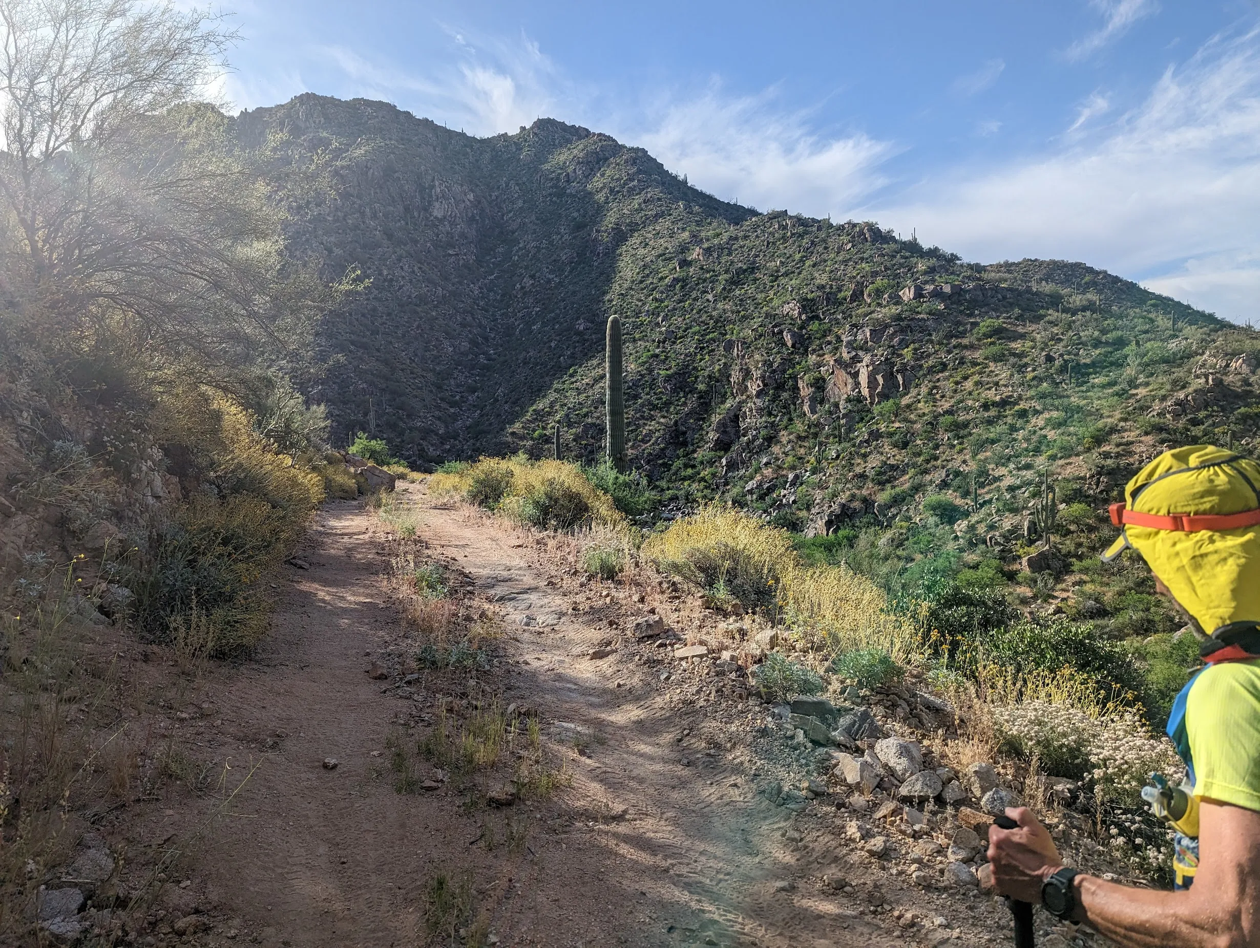 Photo from blog post 182