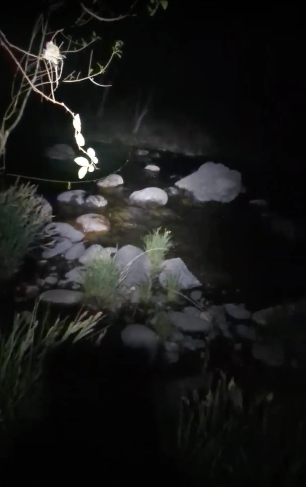 Photo from blog post 182