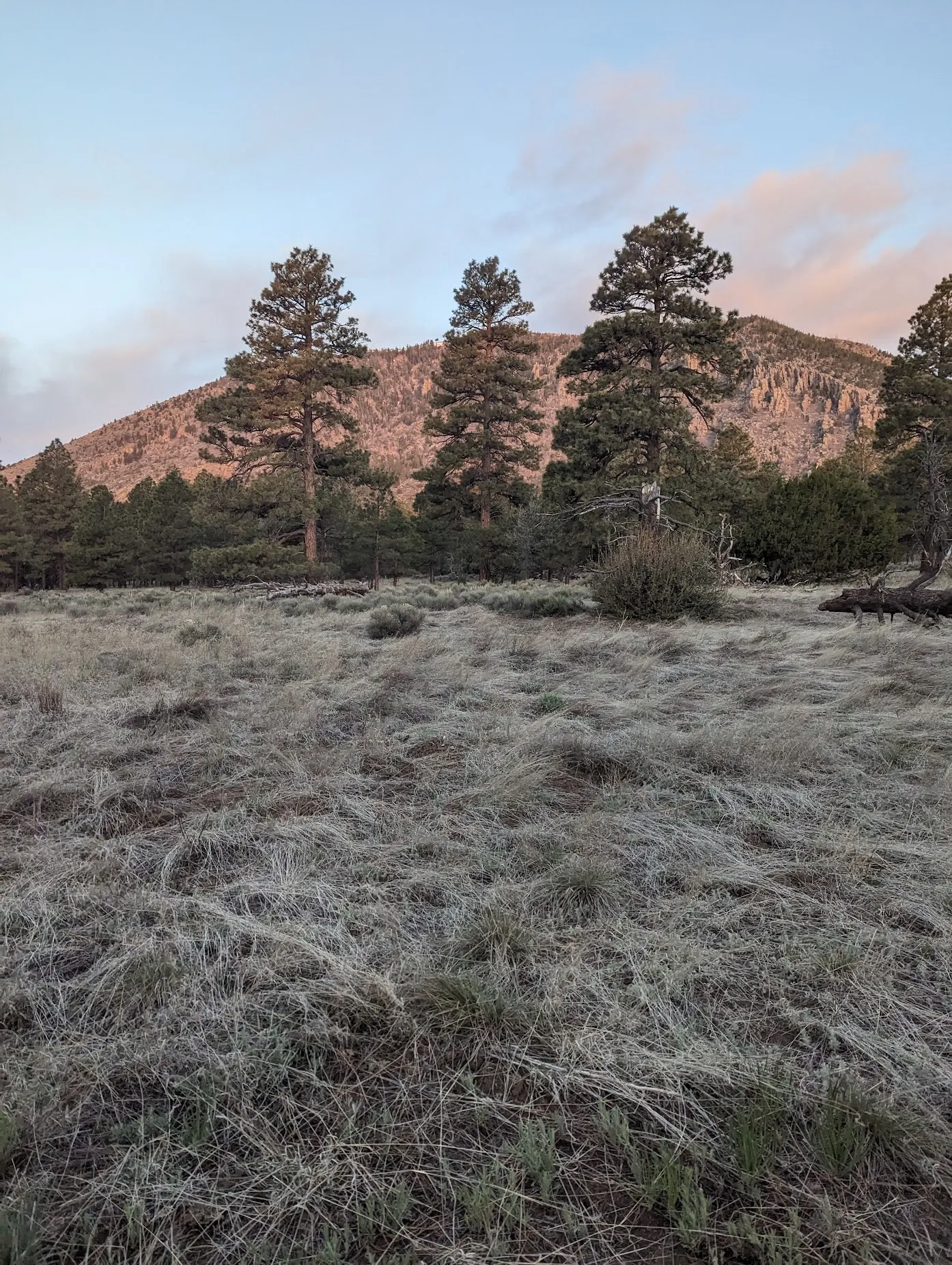 Photo from blog post 182