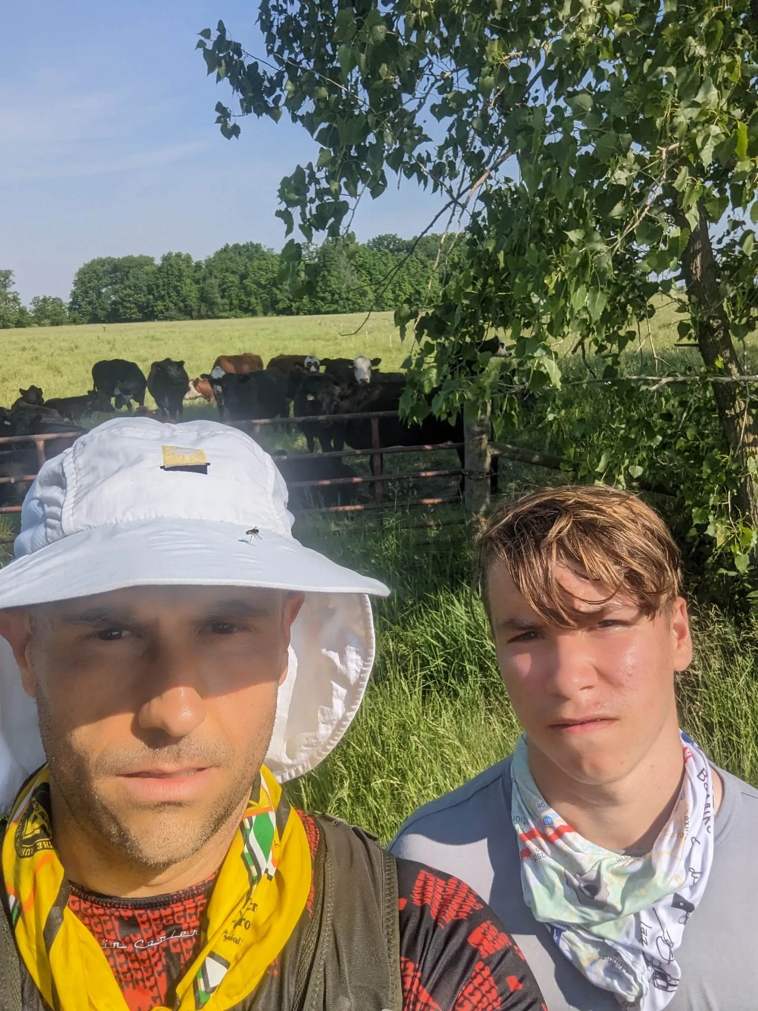 Photo from blog post 183