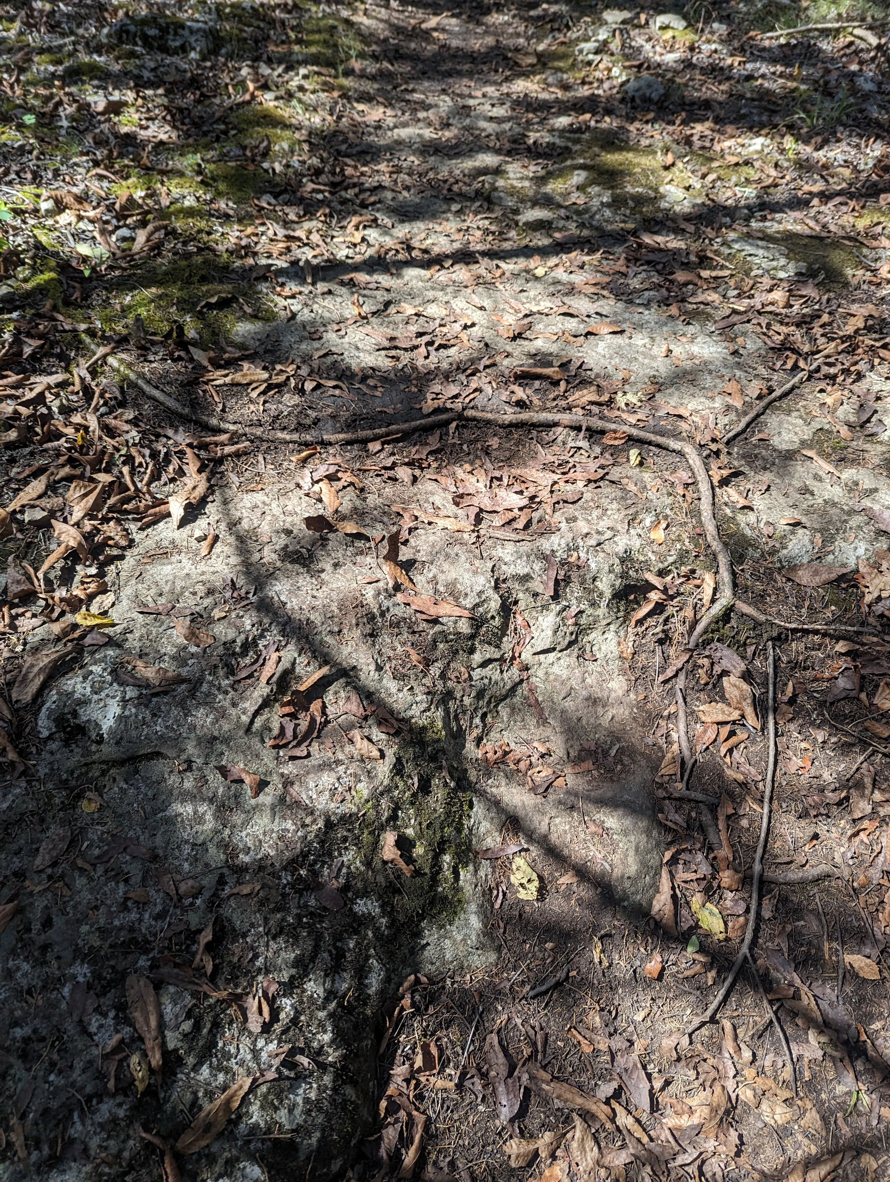 Photo from blog post 185