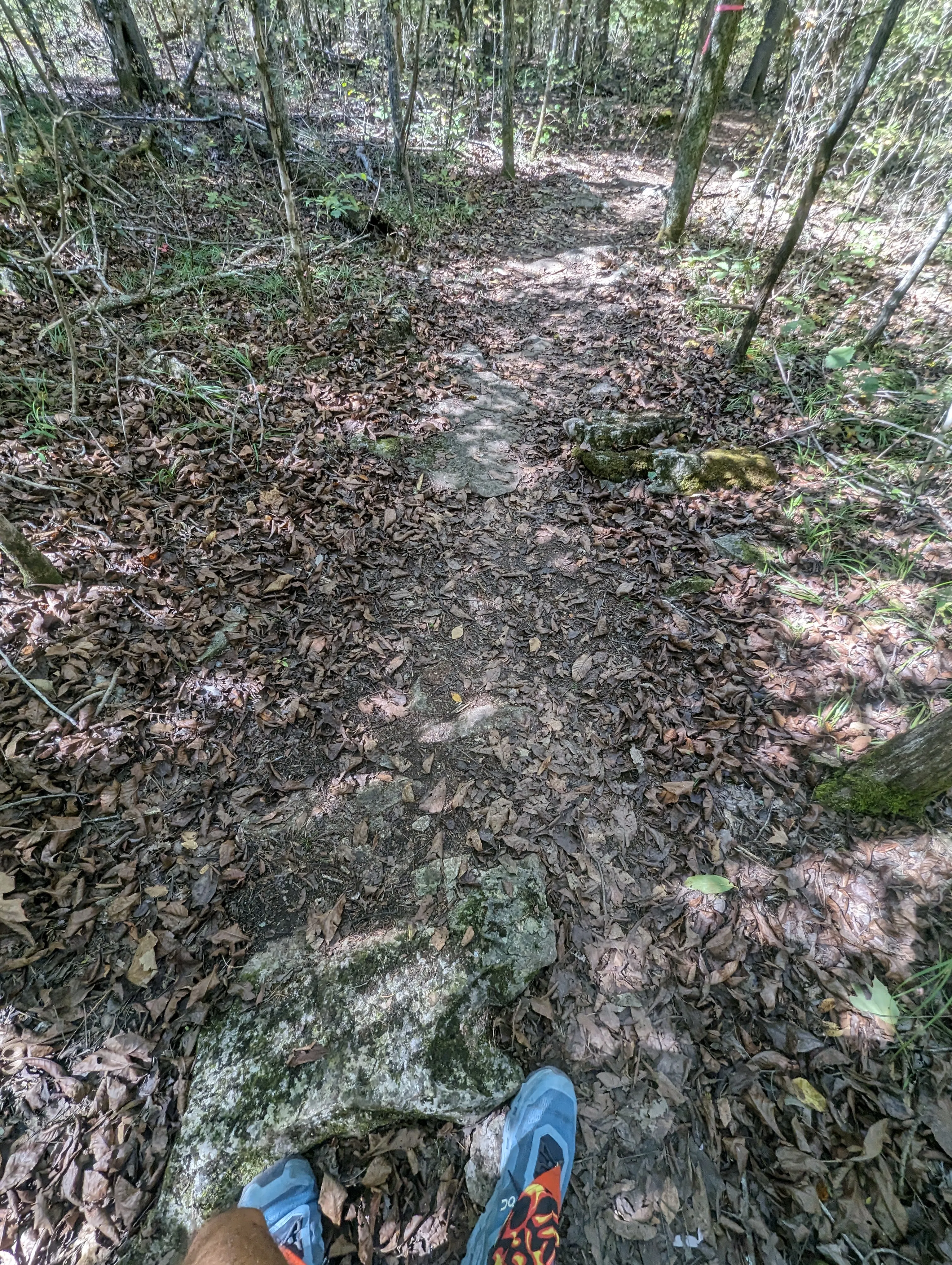 Photo from blog post 185