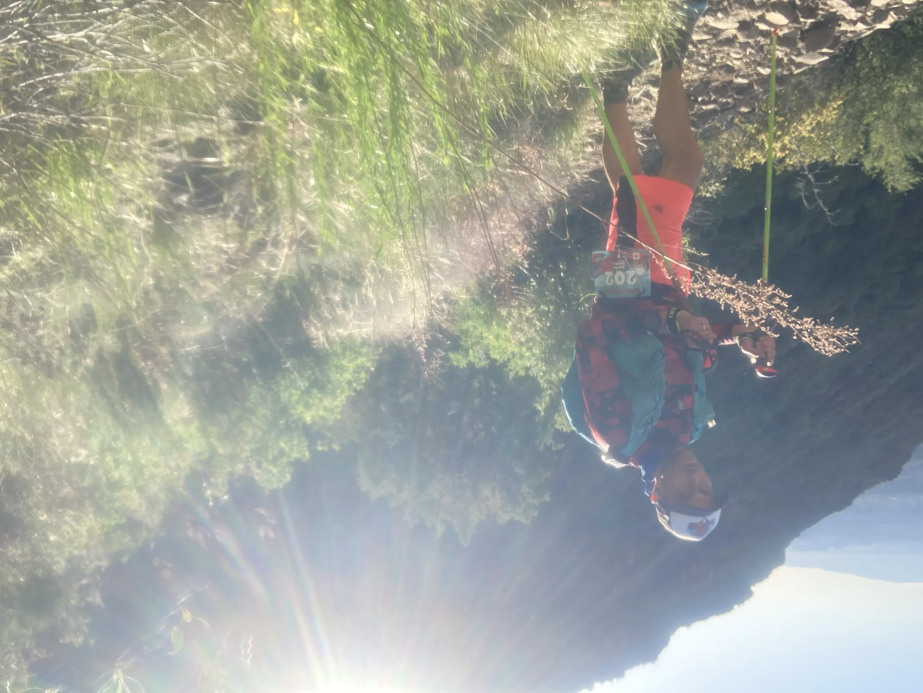 Photo from blog post 187