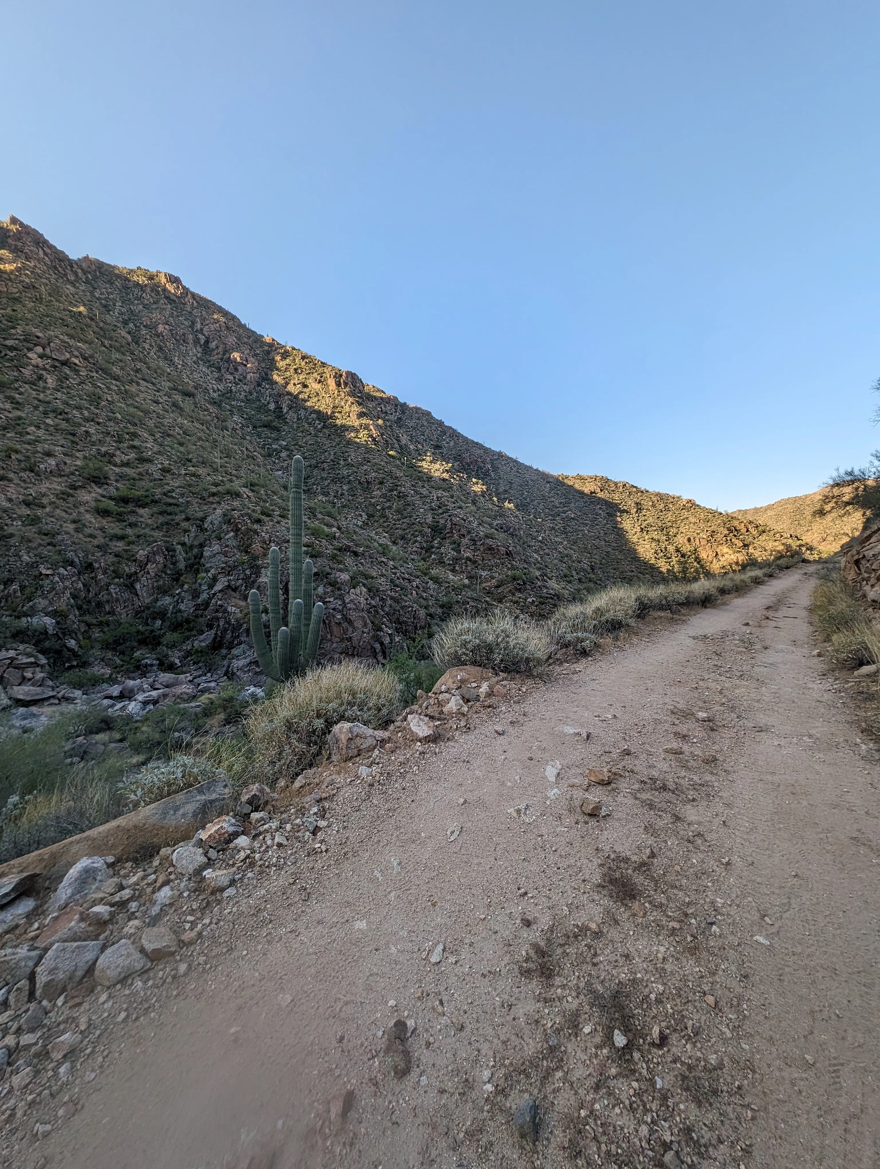 Photo from blog post 187