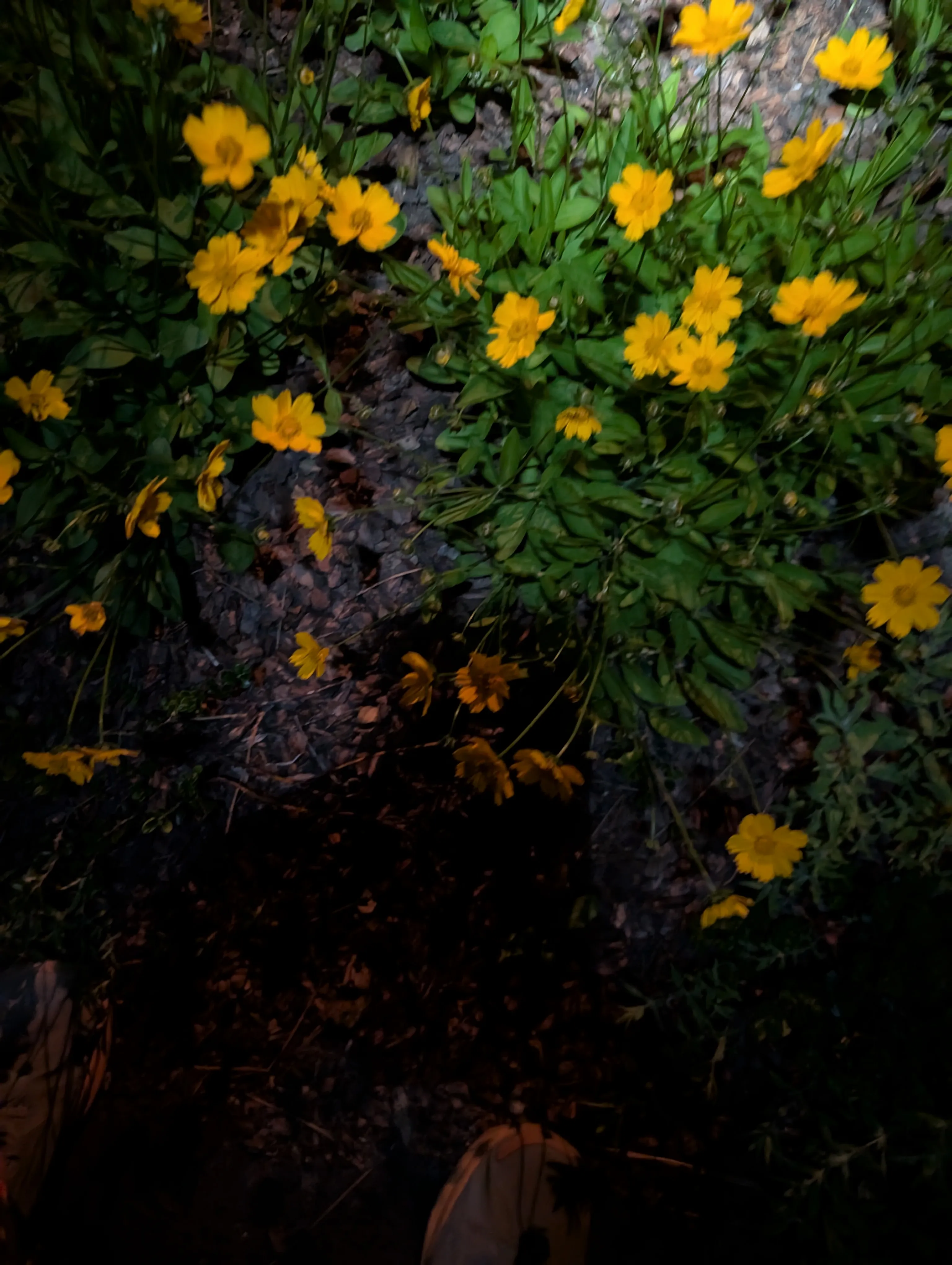 Photo from blog post 190