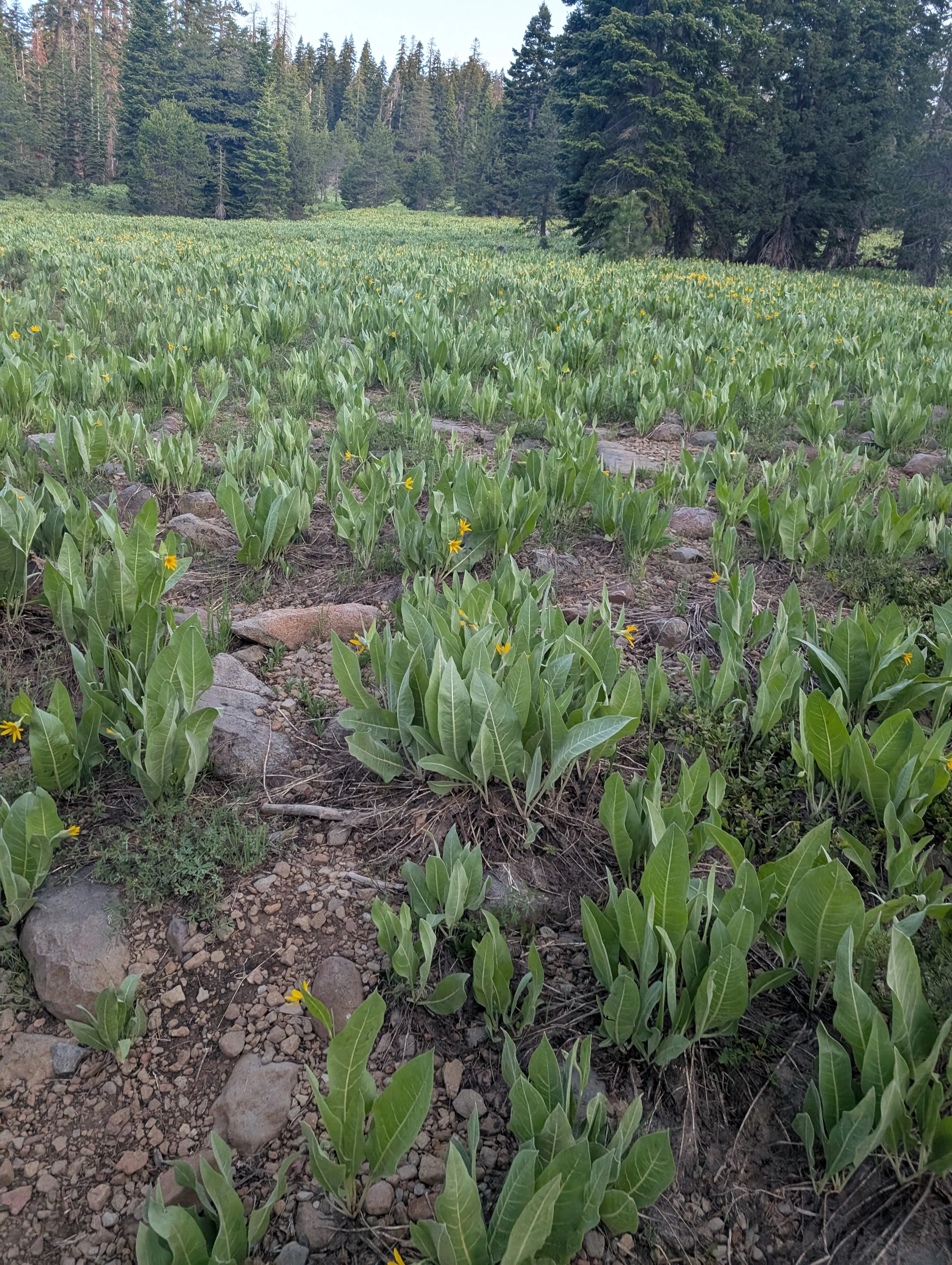 Photo from blog post 190