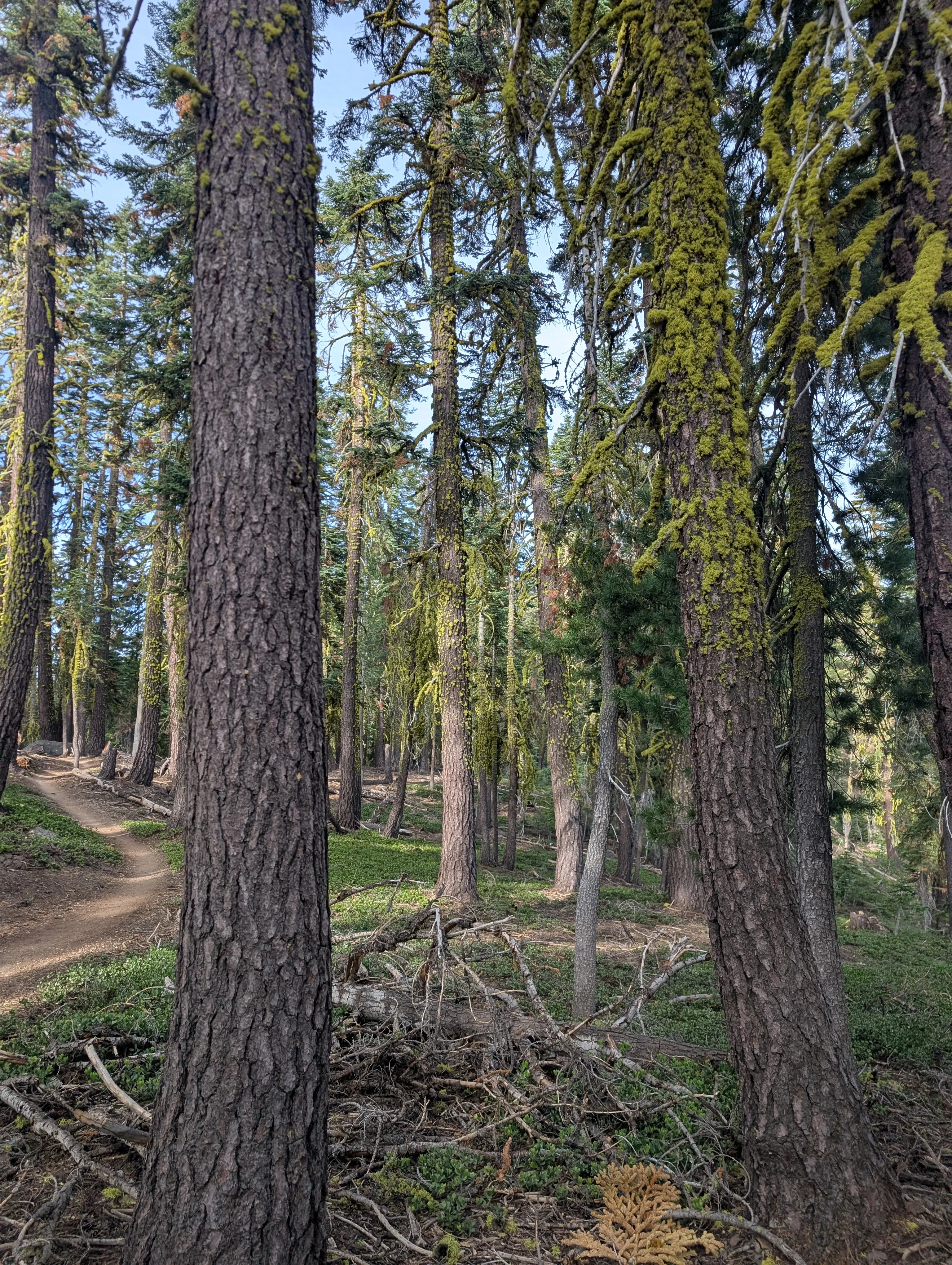 Photo from blog post 190