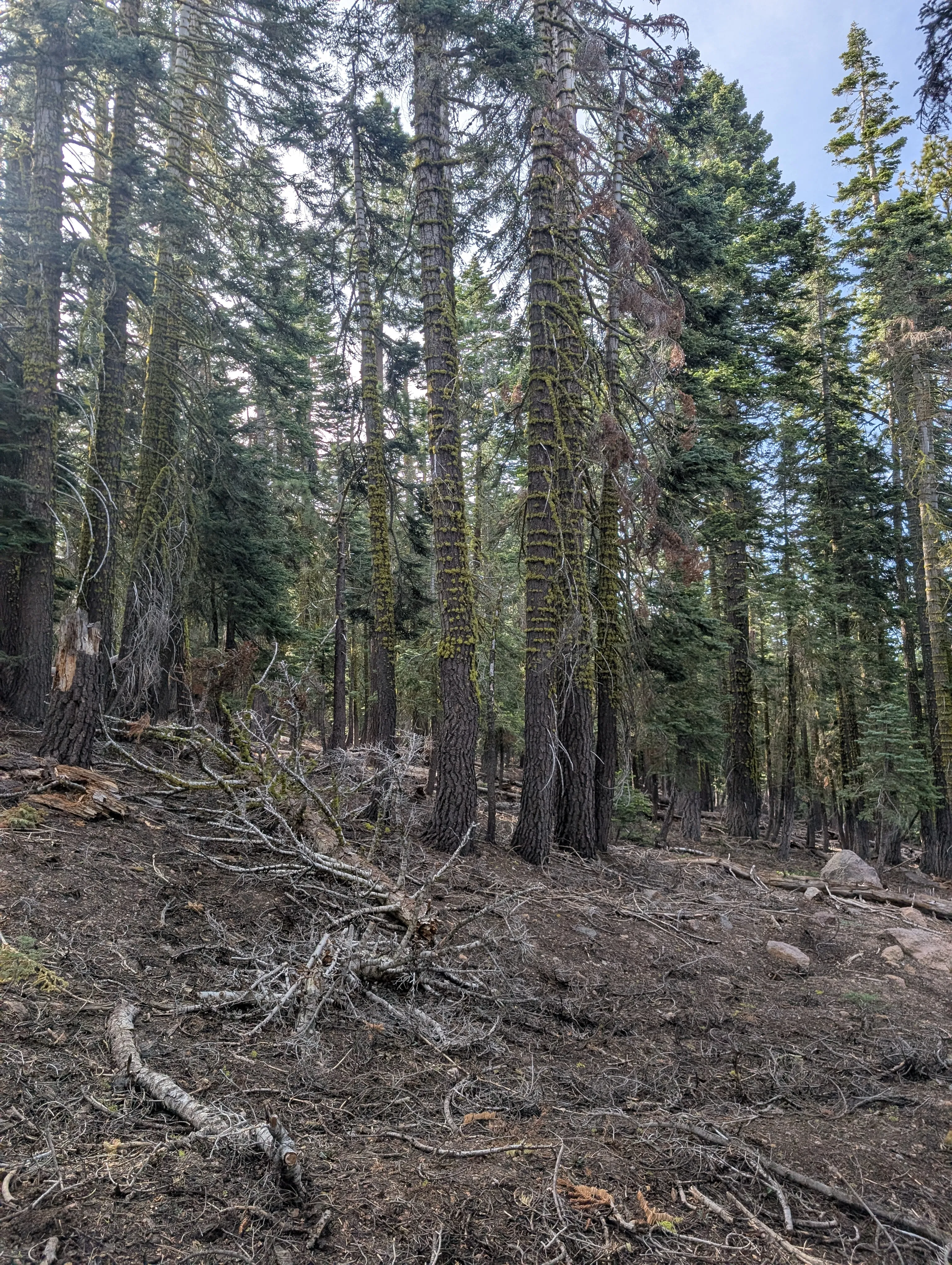 Photo from blog post 190