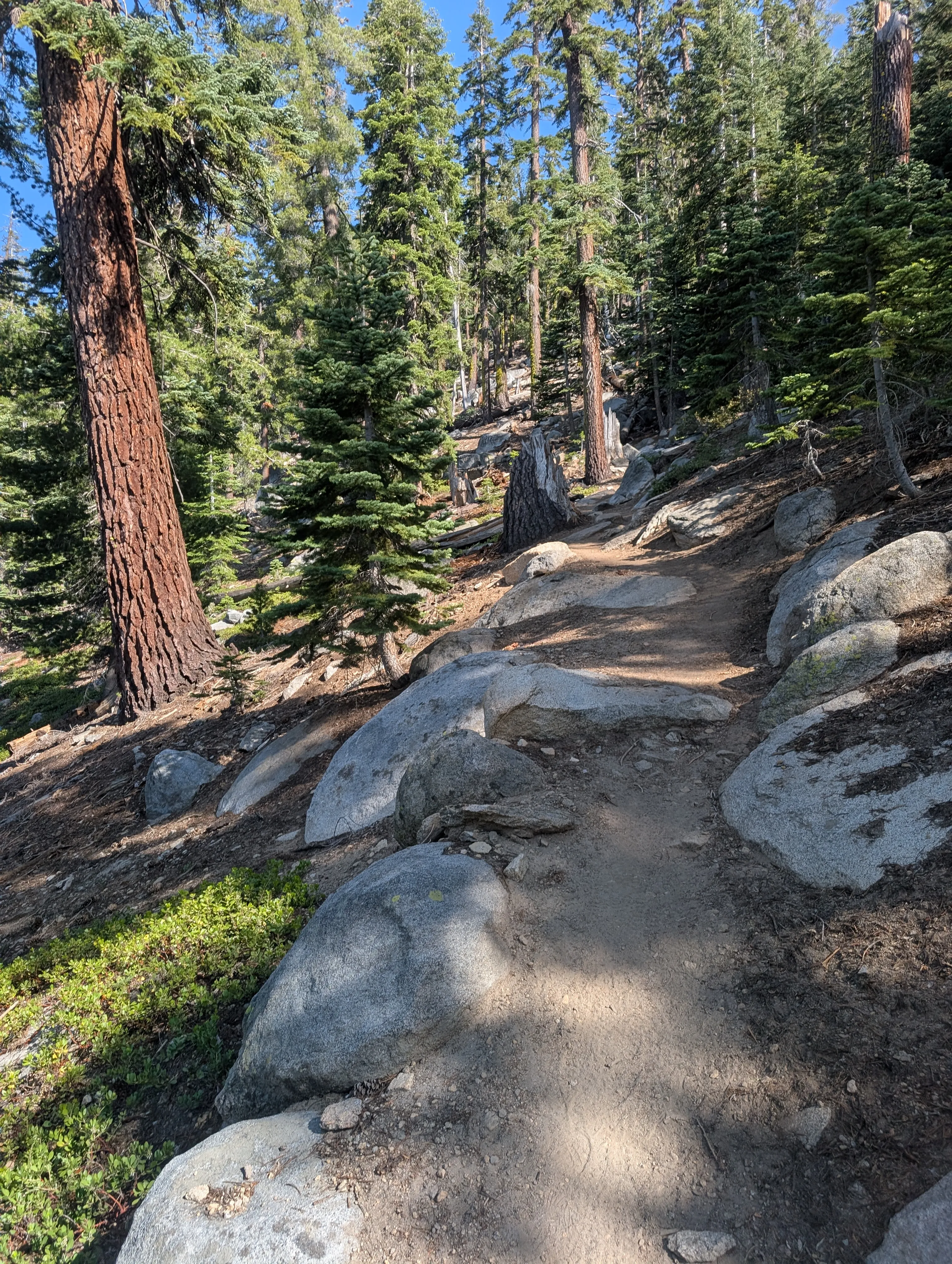 Photo from blog post 190