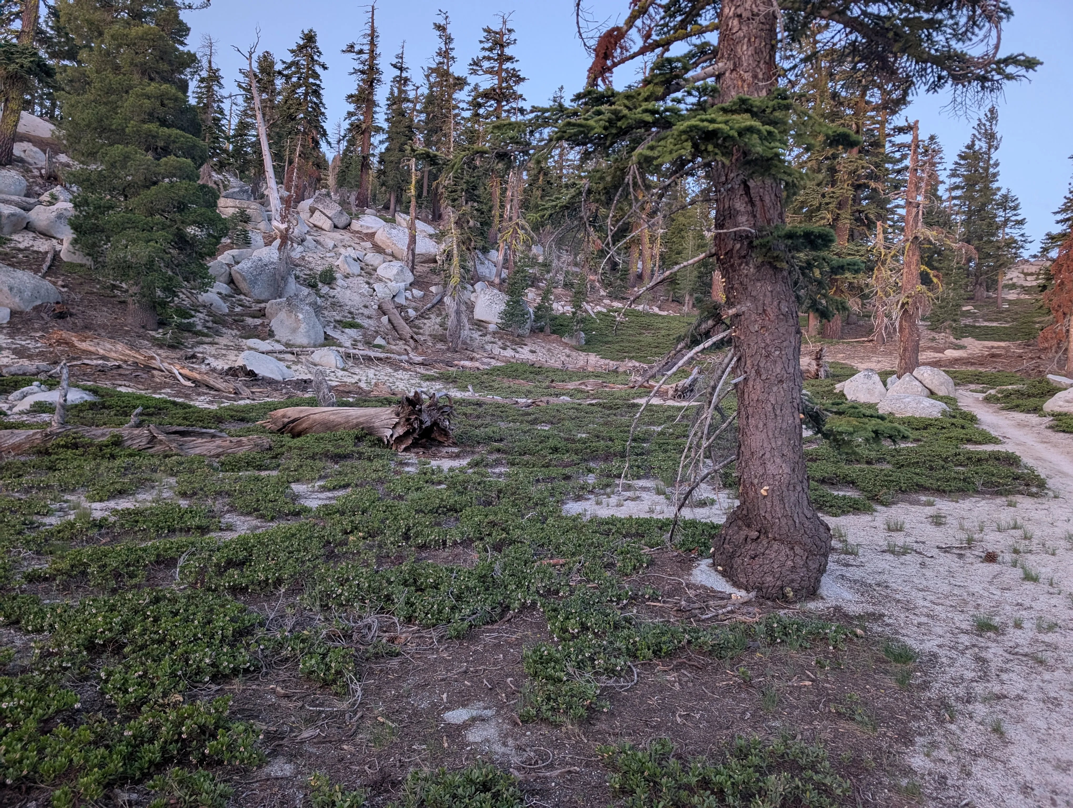 Photo from blog post 190