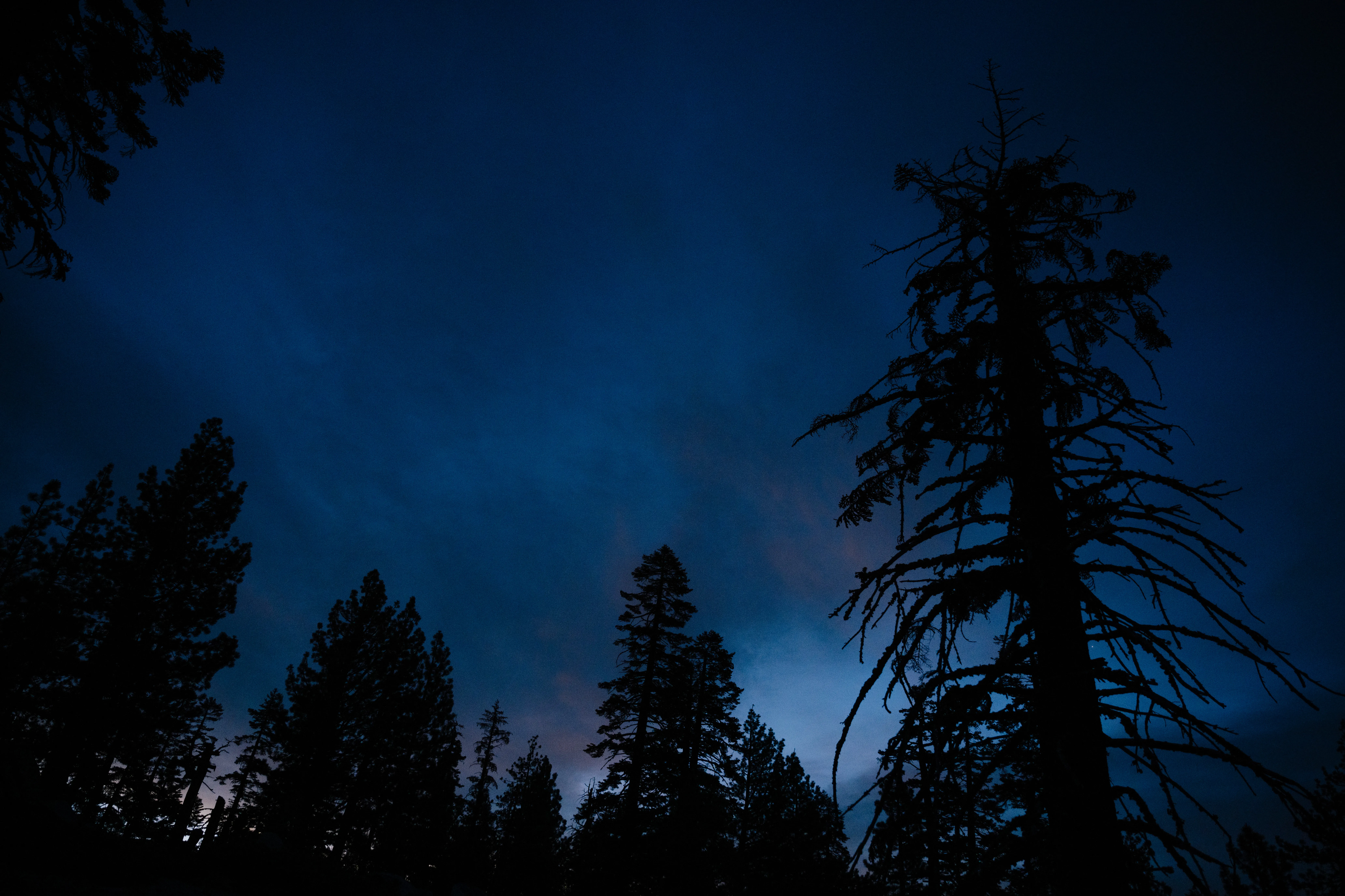 Photo from blog post 190