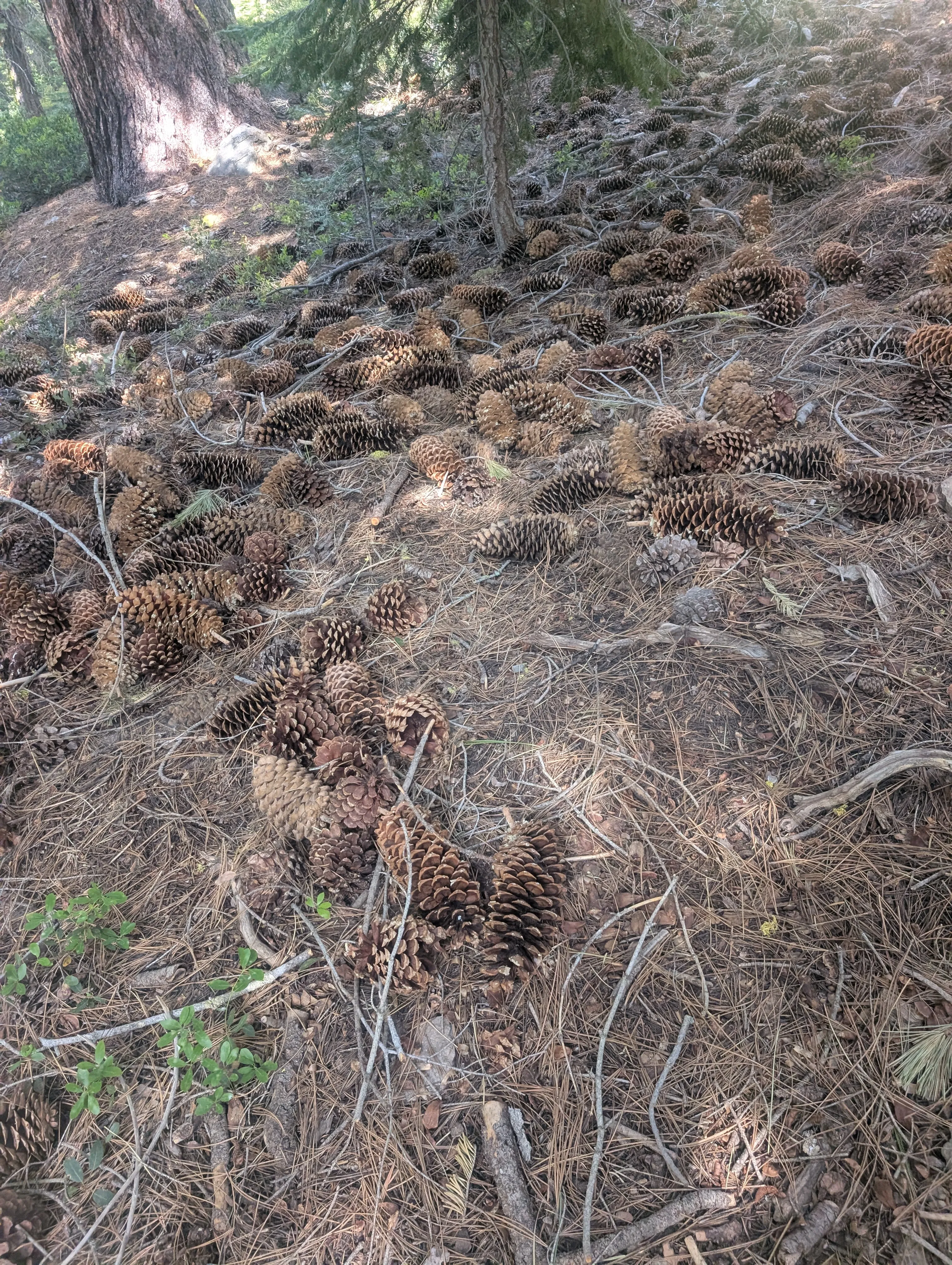 Photo from blog post 190