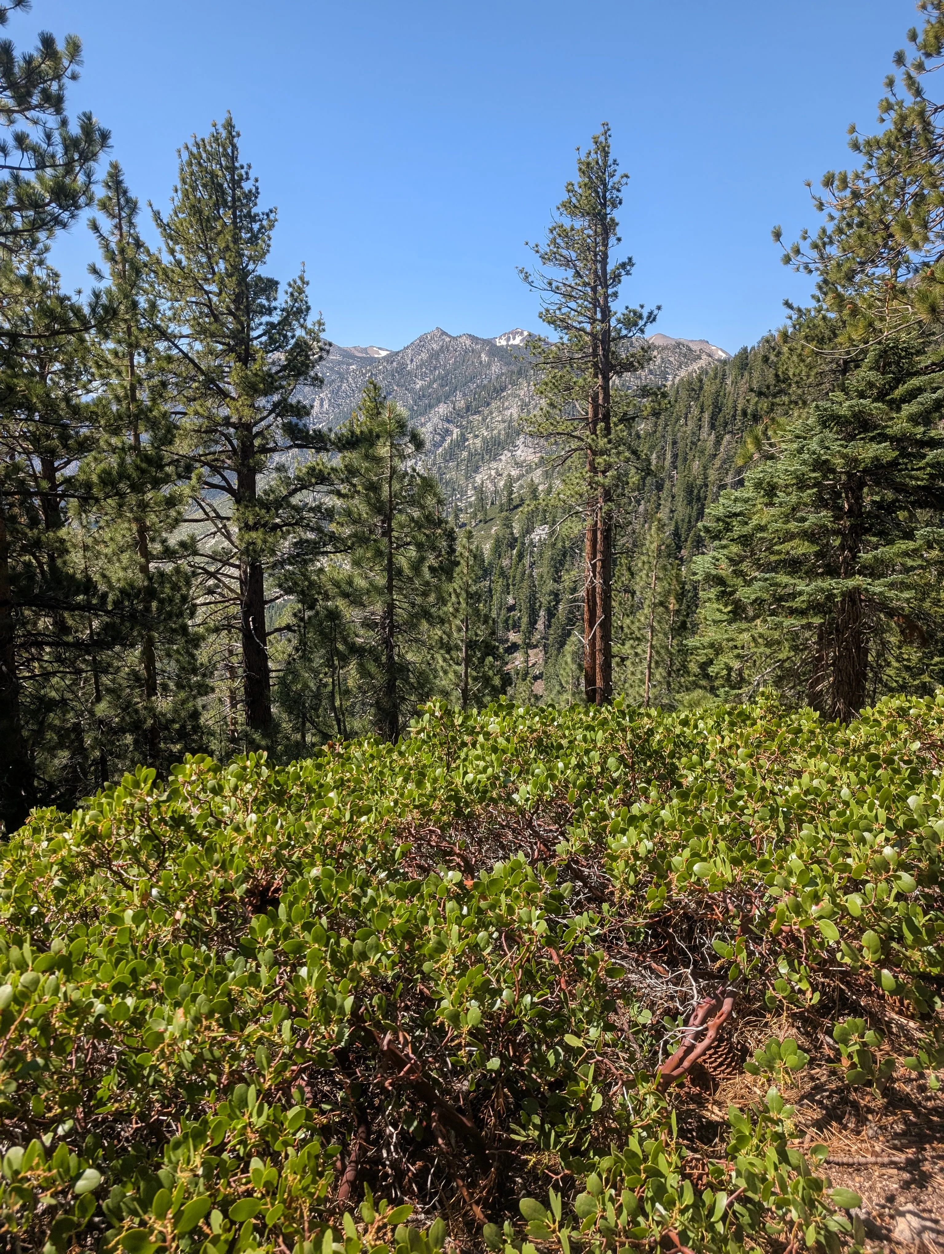 Photo from blog post 190