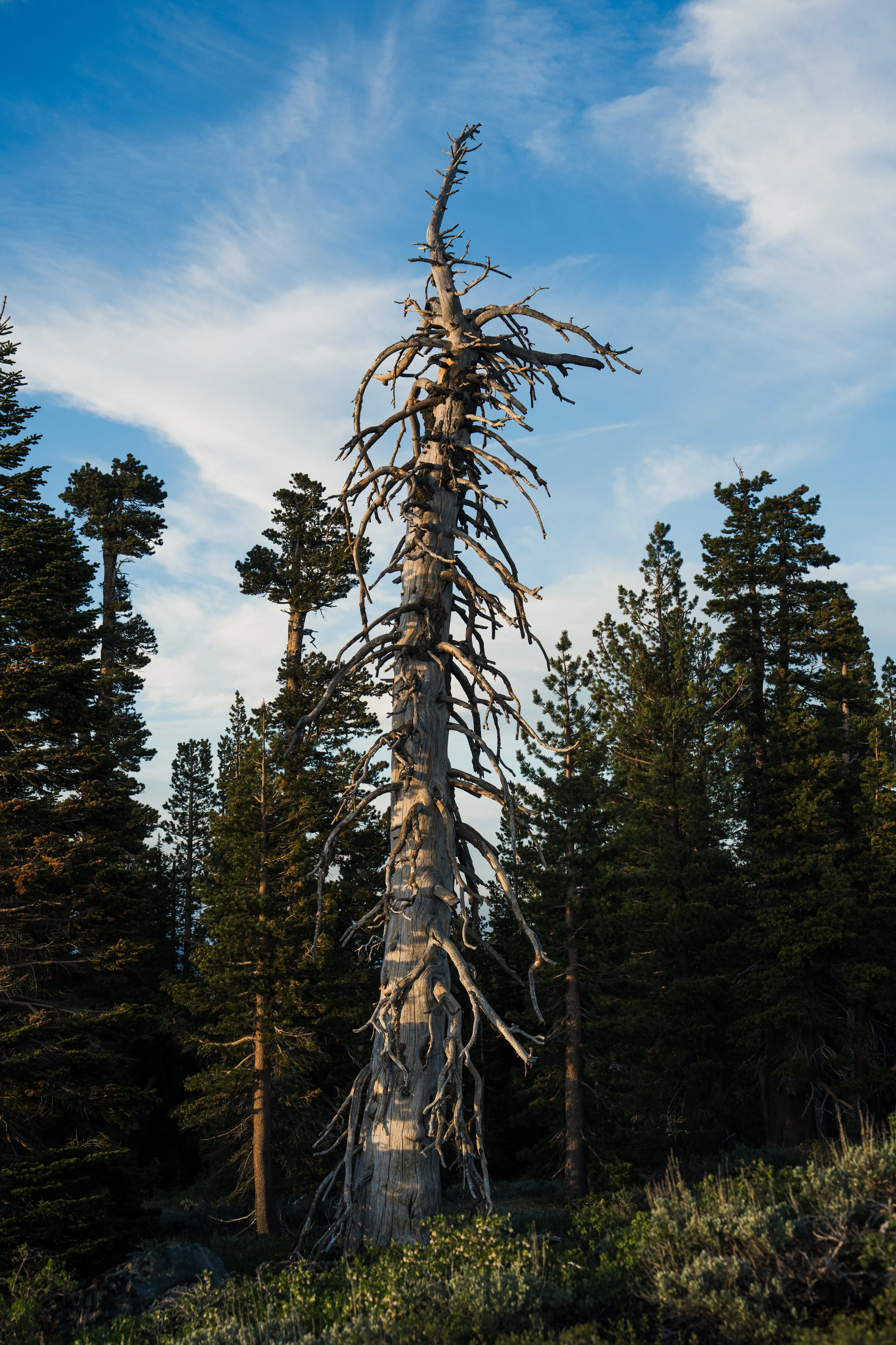 Photo from blog post 190